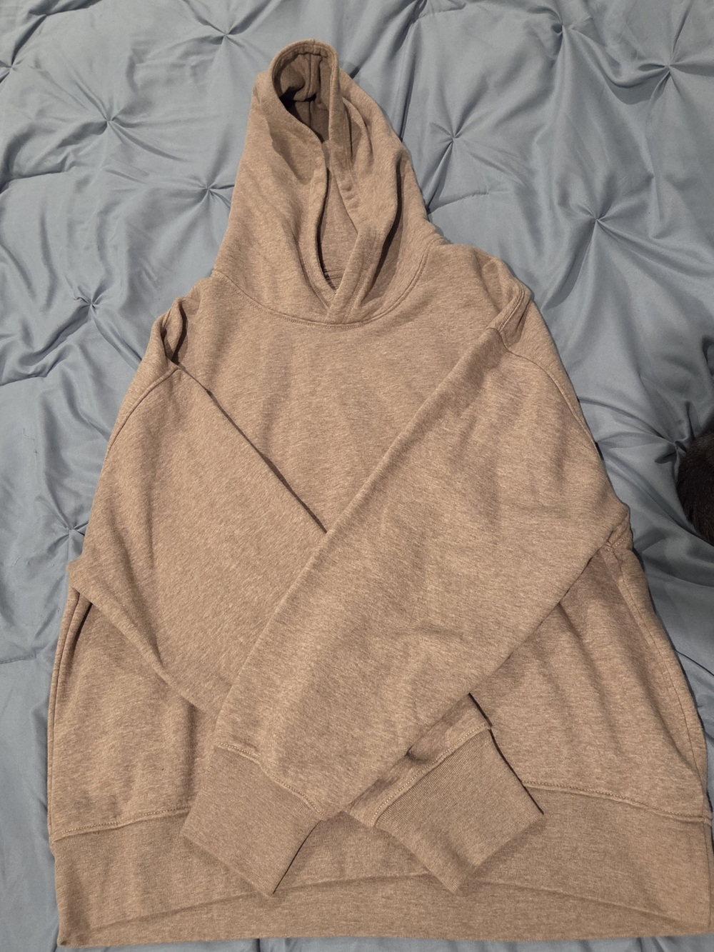 Women's AE Luxe Hooded Pullover Sweater - Taupe